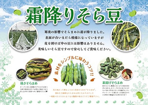 Shimohurisoramame202602