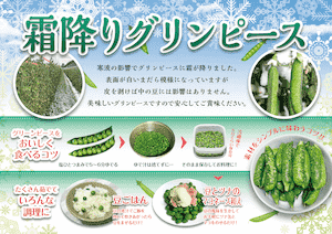 グリンピースリーフレット
