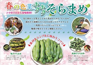 リーフレット画像