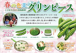 リーフレット画像