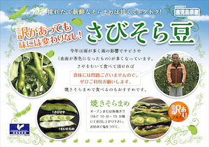 訳ありそらまめリーフレット画像