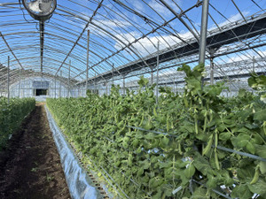Img_6475 Img_6475
